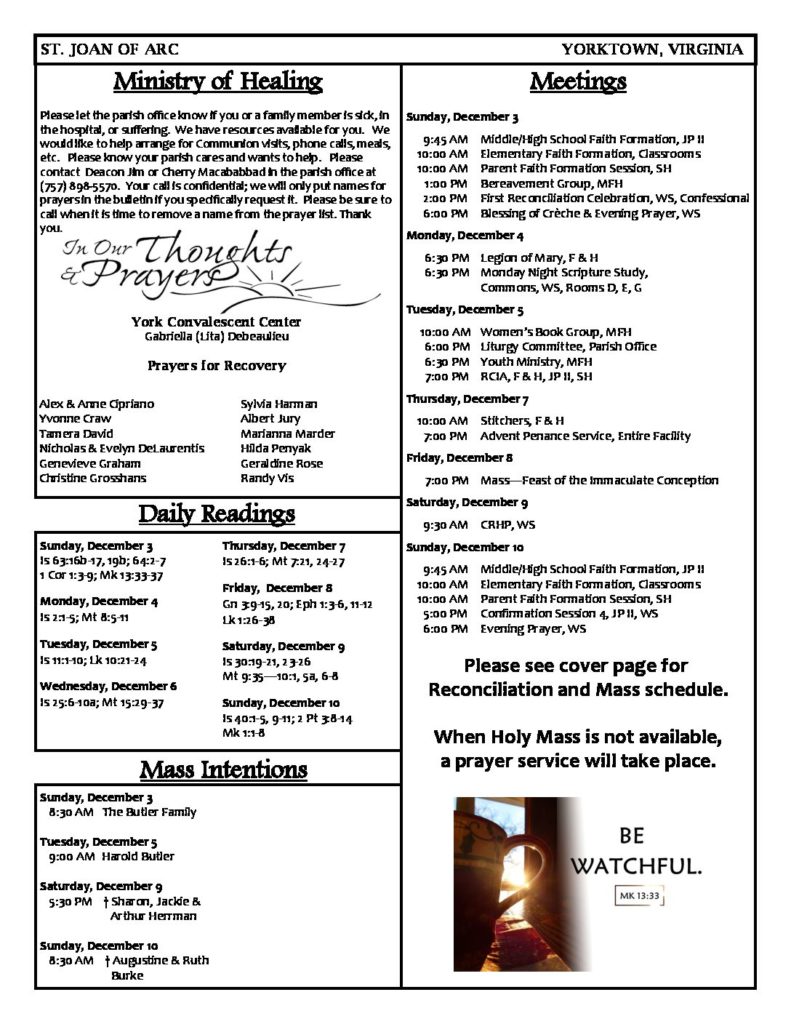 index of wp content